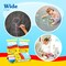 4E’s Novelty Mini Chalk Set - 12 Boxes Sidewalk Chalk Summer Party Favors, Goodie Bag Stuffers, Non-Toxic Chalk for Toddlers